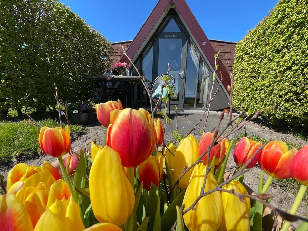 Hotelhuisjes Andijk Eksteriør bilde